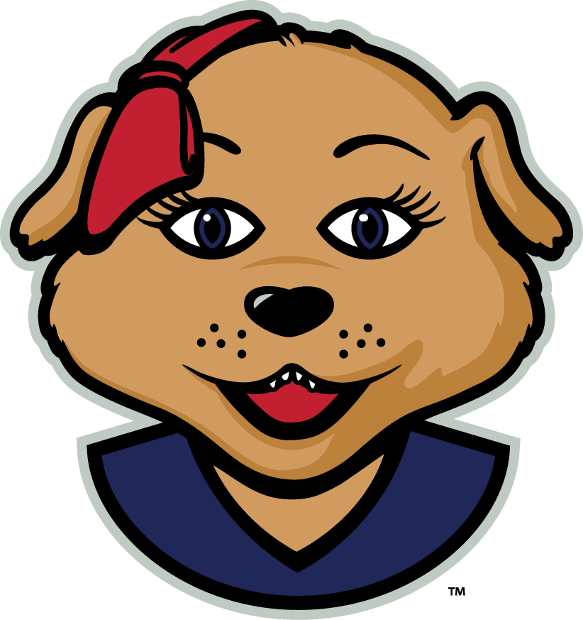 Arizona Wildcats 2013-Pres Mascot Logo v2 iron on transfers for clothing